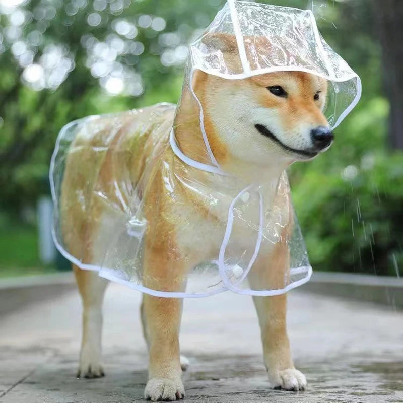 Stallro™ Hond Transparante Regenkleding