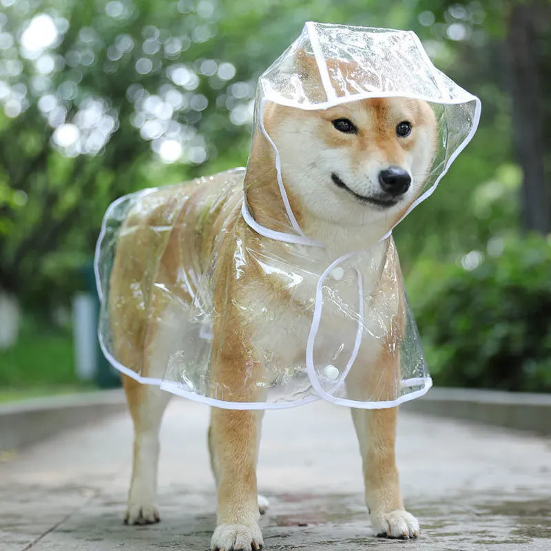 Stallro™ Hond Transparante Regenkleding